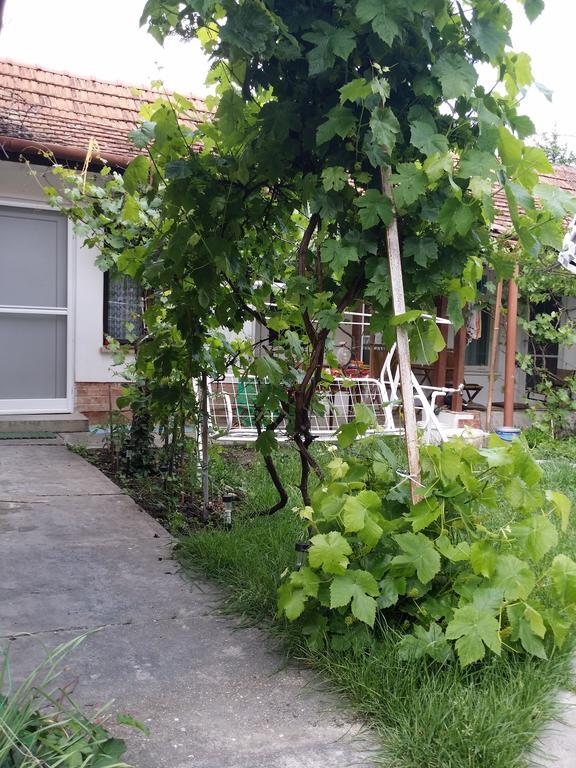 Apartamento Boris Apartman Gyula Exterior foto